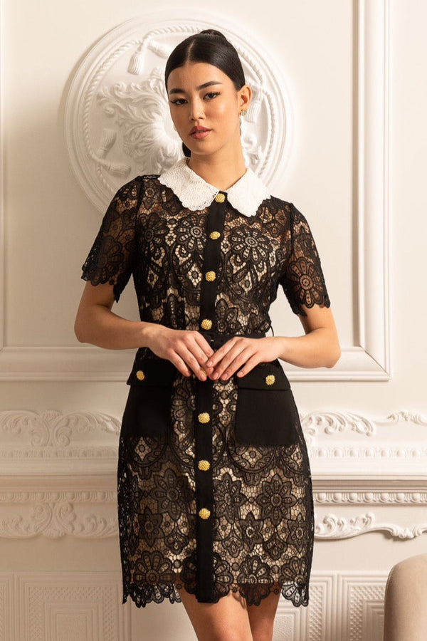 Kısa Kollu ve Kontrast Yakalı Çiçek Desenli Dantel Elbise